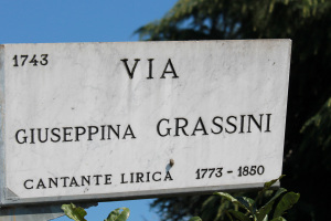 3.Grassini