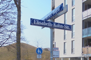 Antolini_Monaco_Kohn_ridotta
